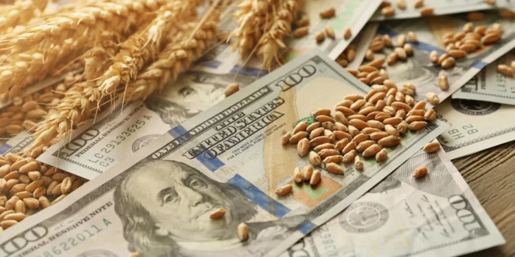 Para aumentar la oferta de dólares, no habrá retenciones a los granos hasta el 31 de octubre