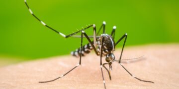 Éxito preventivo: Salud confirma que la curva de contagios está controlada.