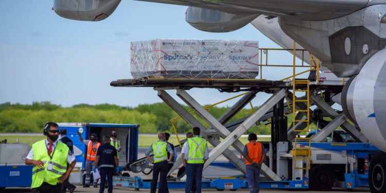 Crisis sanitaria global: La OMS alerta sobre la expansión del mosquito y pide cooperación.