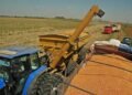Récord en Exportaciones Agroindustriales: Argentina Alcanzará 40 Millones de Toneladas en el Primer Cuatrimestre