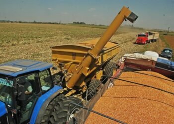 Récord en Exportaciones Agroindustriales: Argentina Alcanzará 40 Millones de Toneladas en el Primer Cuatrimestre
