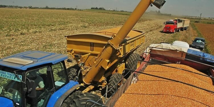 Récord en Exportaciones Agroindustriales: Argentina Alcanzará 40 Millones de Toneladas en el Primer Cuatrimestre