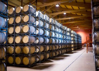 La crisis de Bodega Norton pone en jaque a productores vitivinícolas de Mendoza