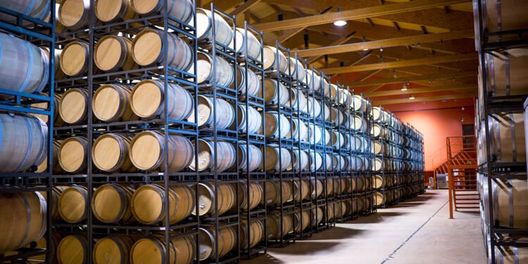 La crisis de Bodega Norton pone en jaque a productores vitivinícolas de Mendoza