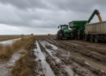 El agro enfrenta desafíos por lluvias y logística, pero mantiene exportaciones históricas