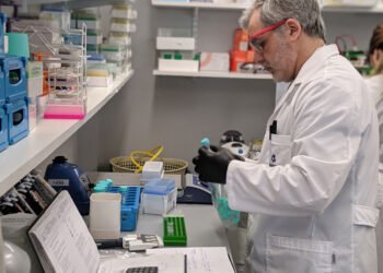 El Gobierno implementa ventajas fiscales para empresas: beneficiarios y procedimientos de acceso