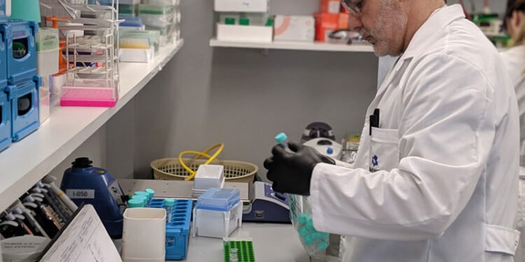 El Gobierno implementa ventajas fiscales para empresas: beneficiarios y procedimientos de acceso