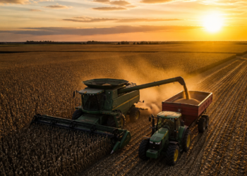 El elevado peso de los impuestos en la producción agrícola se mantiene en un 61,9%
