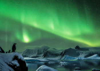 Un espectáculo celeste en la Antártida: una extraordinaria aurora austral deslumbró a los científicos