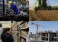 Sectores económicos en Argentina: ganadores y perdedores en la era Milei