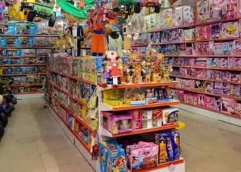 Desafíos Estructurales en la Industria del Juguete: Entre la Caída del Consumo y la Apertura Importadora