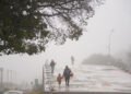 La maquinaria biológica detrás de los cambios en el ánimo por la falta de sol