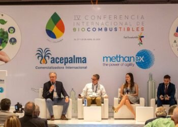 Bulgheroni, CEO de PAE, apoya la reforma de la Ley de Biocombustibles para fomentar exportaciones