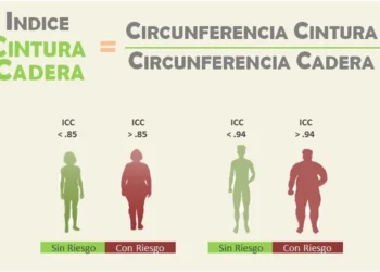 ¿La grasa corporal se mide incorrectamente? Un estudio relaciona los “flotadores” con el riesgo cardiovascular