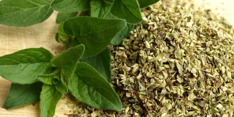 Infusión de orégano: una guía para preparar y aprovechar sus beneficios digestivos