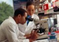 Investigadores del Conicet desarrollan un método seguro para sustituir una sustancia tóxica en metales por un aditivo alimentario
