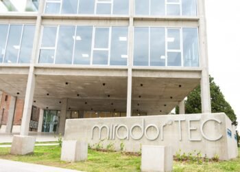 Innova CFI: requisitos y plazos para financiar startups tecnológicas