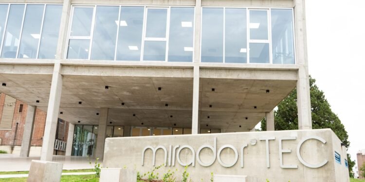 Innova CFI: requisitos y plazos para financiar startups tecnológicas